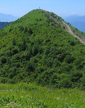 飯盛山コース