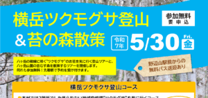 八ヶ岳登山のみどころ